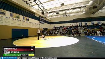 132 lbs Cons. Round 3 - Parker Hamilton, Deer Park vs Camron Bogle, Cheney