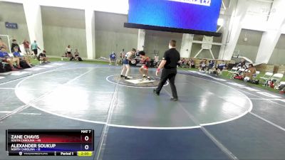 132 lbs Placement Matches (8 Team) - Zane Chavis, South Carolina vs Alexander Soukup, North Carolina