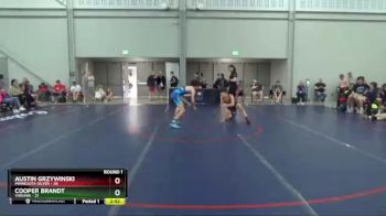 106 lbs Round 1 (8 Team) - Austin Grzywinski, Minnesota Silver vs Cooper Brandt, Virginia