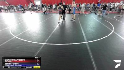 160 lbs Cons. Semi - Damiano Cappellini, Wisconsin vs Ben Peterson, LaCrosse Area Wrestlers