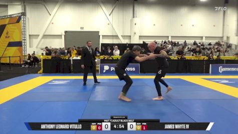 James Whyte IV vs Anthony Leonard Vitullo 2025 World IBJJF Jiu-Jitsu No-Gi Championship