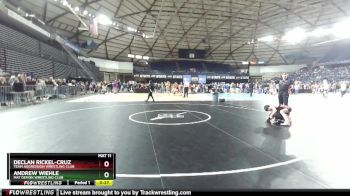 88 lbs Semifinal - Declan Rickel-Cruz, Team Aggression Wrestling Club vs Andrew Wiehle, Mat Demon Wrestling Club