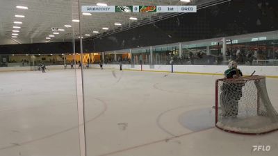 Replay: Home - 2023 Raiders U15 vs Rebels U15 AA | Sep 29 @ 2 PM