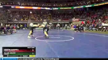 3 lbs Quarterfinal - Griffin Gammell, Waukee Northwest vs Blake Hauck, Waukee