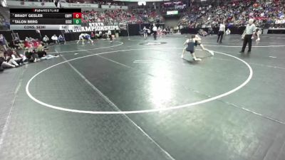 D2-132 lbs Cons. Semi - Brady Gesler, Chetek-Weyer./Prairie Farm vs Talon Berg, Osceola