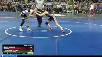 100 lbs Quarterfinal - Julia Araujo, Bismarck vs Cheyenne Moore, Pembina County North