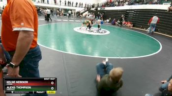 115 lbs Quarterfinal - Kelsie Nebeker, Lyman vs Alexis Thompson, Pinedale
