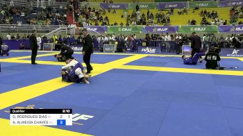 DIOGO RODRIGUES DIAS vs AMANDIO ALMEIDA CHAVES 2024 Brasileiro Jiu-Jitsu IBJJF