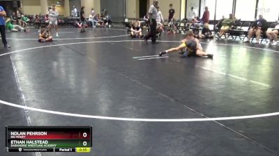 100 lbs Cons. Round 3 - Ethan Halstead, Darkhorse Wrestling Academy vs Nolan Pehrson, Big Money