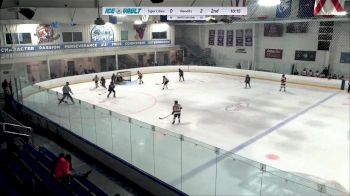 Replay: Home - 2024 Princeton vs Bandits U12 | Jan 13 @ 9 AM