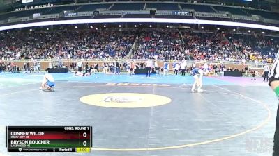 D3-138 lbs Cons. Round 1 - Conner Wildie, Imlay City HS vs Bryson Boucher, Lakewood HS
