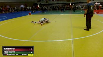 85 lbs Semifinal - Kole Nelson, Waseca vs Blake Leiter, Watertown-Mayer