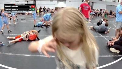 84 lbs Semis (4 Team) - Seamus Healey, Yale Street vs Carter Watson, Broad Axe Green