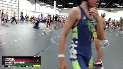 84 lbs Round 3 (6 Team) - Jamison Hempstead, PA Alliance vs Nate Ries, Xtreme Team