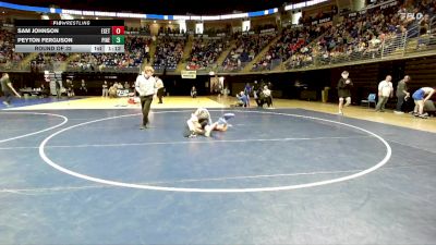 136 lbs Round Of 32 - Sam Johnson, Exeter Twp vs Peyton Ferguson, Pine Richland