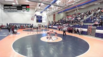 125 lbs Quarterfinal - Calliope Willman, Metamora vs Ainsley Freeman, St. Joseph (S.J.-Ogden)