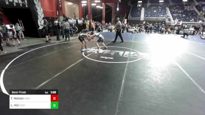 100 lbs Semifinal - Teegan Nelson, Eastside United vs Logan Hill, Cody WC