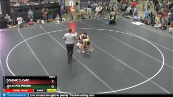 113 lbs Champ. Round 2 - Dominic Ducato, IL vs Sir Israel Pulido, CO