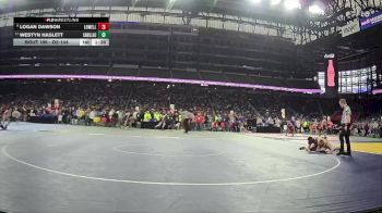 D2-144 lbs Quarterfinal - Logan Dawson, Lowell vs Westyn Haslett, Cadillac