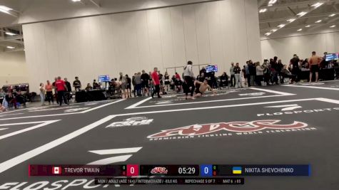 Trevor Twain vs Nikita Shevchenko 2025 ADCC Niagara Open