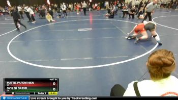 138 lbs Cons. Round 2 - Mattie Papenthien, WI vs Skyler Gassel, CA