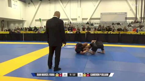 Cameron P Gilliam vs Juan Marcel Viana 2024 World IBJJF Jiu-Jitsu No-Gi Championship