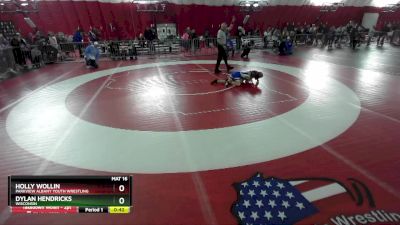 73-78 lbs Round 3 - Holly Wollin, Parkview Albany Youth Wrestling vs Dylan Hendricks, Wisconsin