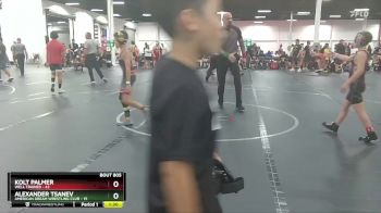 72 lbs Round 1 - Alexander Tsanev, American Dream Wrestling Club vs Kolt Palmer, Well Trained