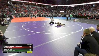 D2-126 lbs Quarterfinal - Christopher Karbash, Delavan-Darien vs Mason Mau, Belleville/Mont./N. Gl.