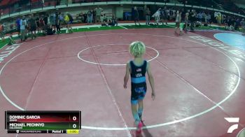 60 lbs 5th Place Match - Dominic Garcia, Idaho vs Michael Pechnyo, Colorado