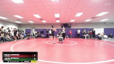 132 lbs Cons. Round 4 - Micah Commons, Houston vs Ascen Petricca, Green Hills