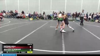 132 lbs Round 3 (4 Team) - Brayden Oldenkamp, South Dakota Mania vs Antonio Avila, Wyoming Gold