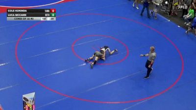 89 lbs Consi Of 32 #2 - Cole Kokinda, Tamaqua vs Luca McCann, Bethel Park