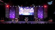 Fierce X Dance - Mini Panthers Pom [2025 Mini - Pom - Large Day 2] 2025 JAMfest Dance Super Nationals