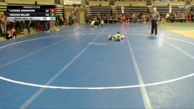 45 lbs Cons. Round 3 - Keaton Miller, Osseo vs Louden Anderson, DGF