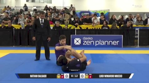 Luigi Winiarski Muccio vs Nathan Salgado 2025 World IBJJF Jiu-Jitsu No-Gi Championship
