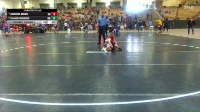 45 lbs Champ. Round 1 - Arrow Meek, Halls Wrestling vs Caleb Griggs, Wildcats Wrestling