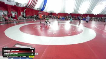 92-95 lbs Round 3 - Vander McAvoy, Geneseo vs Callan Erickson, Waska/BBE