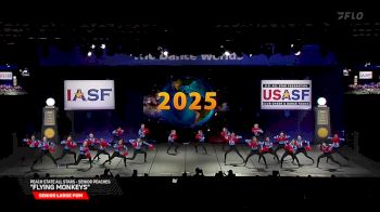 Peach State All Stars - Senior Peaches - "Flying Monkeys" [2025 Senior Large Pom Semis] 2025 The Dance Worlds