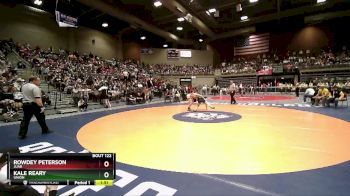 Quarterfinal - Rowdey Peterson, Juab vs Kale Reary, Union