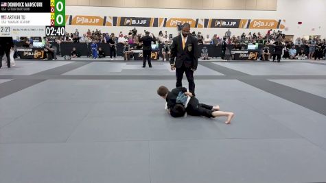 Dominick Mansouri vs Arthur Tu 2026 PBJJF Pan American Jiu-Jitsu Championships