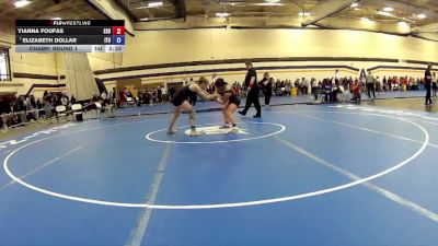 117 lbs Champ. Round 1 - Elizabeth Dollar, Indiana Tech University vs Yianna Foufas, East Stroudsburg University