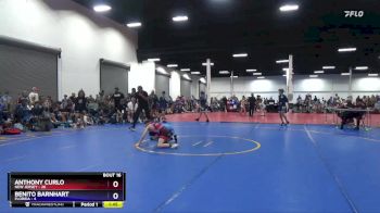 83 lbs Placement Matches (8 Team) - Anthony Curlo, New Jersey vs Benito Barnhart, Florida