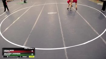 150 lbs Cons. Round 3 - Aidan Boex, Minnesota vs Brayden Linsmeier, Minnesota