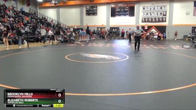 125 lbs Cons. Round 3 - Brooklyn Mills, Cedar Rapids Jefferson vs Elizabeth Roberts, Waterloo West