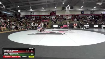 174 lbs Champ. Round 1 - Tyler Morrison, Pitt-Johnstown vs Zach Meisenzahl, Glenville State