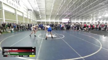 165 lbs Quarterfinal - Jacob Marshall, Panguitch vs Morgan Tingey, Millard