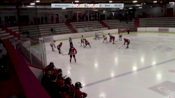 Replay: Home - 2025 Fire Red vs Fire White | Jan 11 @ 12 PM