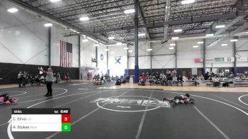 61 lbs Consi Of 8 #2 - Cruz De Santiago Silva, Illinois Valley YW vs Ryder Stokes, Beaver Dam Wrestling Club