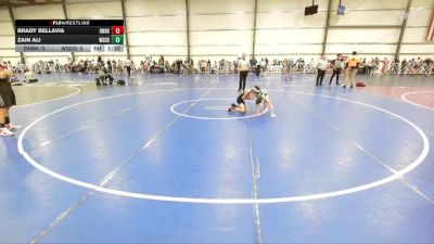 72 lbs Round 3 (12:30pm Saturday) - Brady Bellavia, Dynasty Black vs Zain Ali, Westshore D.S.